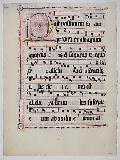 Foglio di manoscritto con iniziale P, da un antifonario, tedesco, secondo quarto del XV secolo da Unbekannt