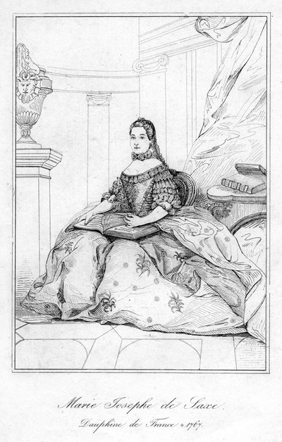 Marie-Josèphe di Sassonia, Delfina di Francia da Unbekannt