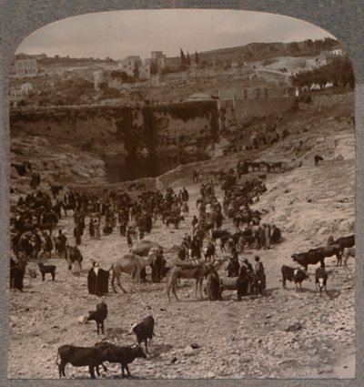 Giorno di mercato alla piscina di Gihon, c1900 da Unbekannt