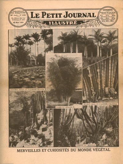Meraviglie e curiosità del mondo vegetale, 1931 da Unbekannt