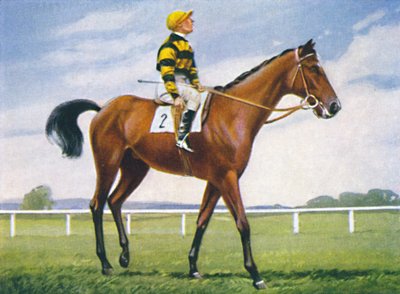 Meadow, fantino: T. Weston, 1939 da Unbekannt