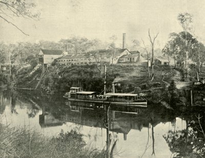 Macelli, vicino a Grafton, Nuovo Galles del Sud, 1901 da Unbekannt