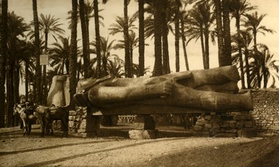 Memphis - La statua colossale di Ramesse II, c1918-c1939 da Unbekannt