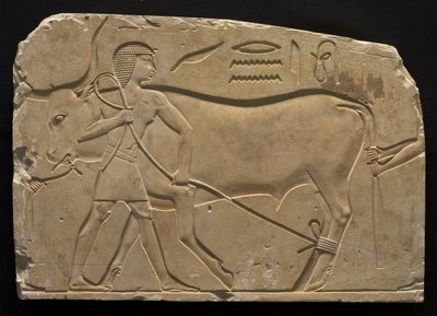 Uomini che legano un bue, 667-647 a.C. da Unbekannt