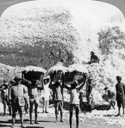 Uomini che trasportano cesti di cotone in una filanda di cotone a Indore, India, 1900s da Unbekannt