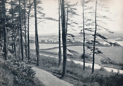 Menai - Da Bangor Wood, 1895 da Unbekannt