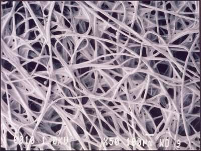 Micrografie (Luce) Tessuto chemotessile, micrografia a luce da Unbekannt