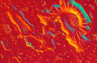 Acciaio inossidabile con deposito di silice colloidale da Unbekannt