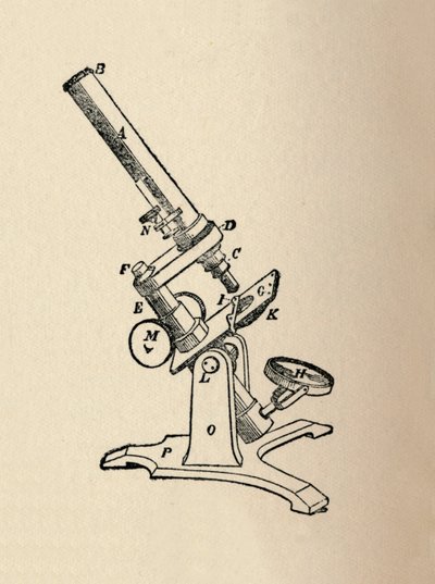 Microscopio, 1912 da Unbekannt