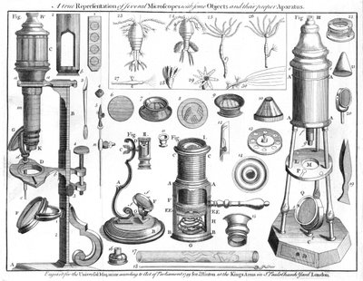 Microscopi e oggetti microscopici, 1750 da Unbekannt