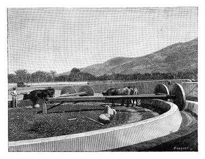 Mulino per decorticare il caffè, America Centrale, c1890 da Unbekannt