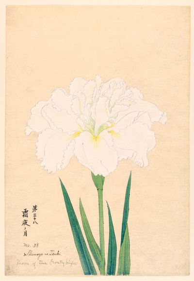 Luna della notte gelida (Shimoyo no Tsuki), No. 38, ca. 1910 da Unbekannt