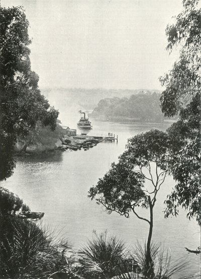 Mosmans Bay, dal molo di Cremorne, c1900 da Unbekannt