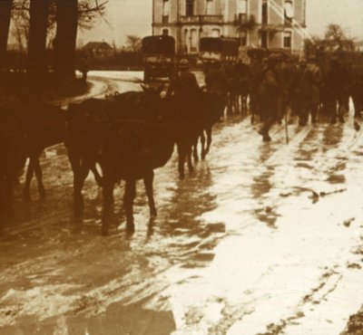 Treno di muli con rifornimenti, Verdun, Francia settentrionale, c1914-c1918 da Unbekannt