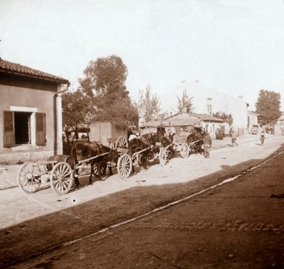Carri di muli con rifornimenti, Verdun, Francia settentrionale, c1914-c1918 da Unbekannt