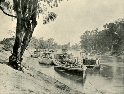 Chiatte e battelli a vapore Murray a Echuca, 1901 da Unbekannt
