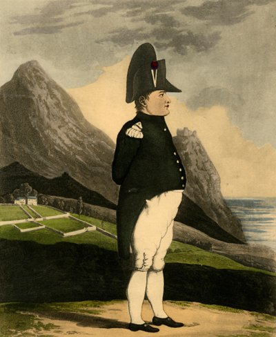Napoleone Bonaparte da Unbekannt
