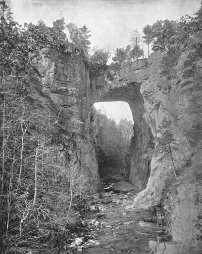 Ponte Naturale, Virginia, USA da Unbekannt