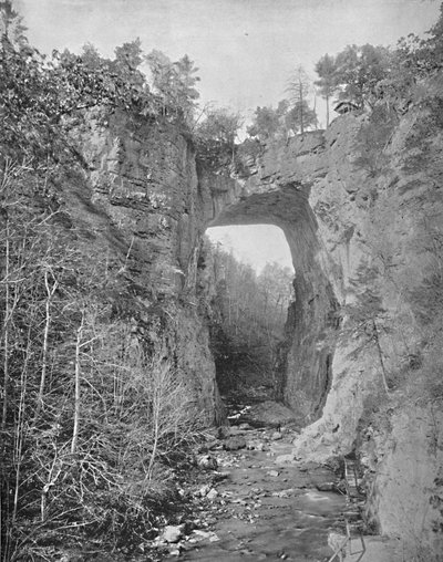 Ponte Naturale, Virginia, c1897 da Unbekannt