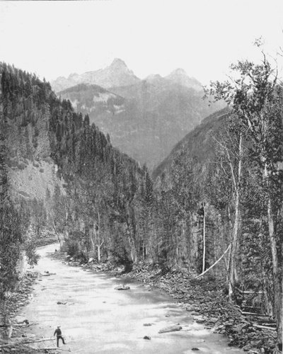 Montagne Needle, Canyon del Rio de las Animas, Colorado, USA, c1900 da Unbekannt