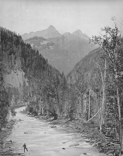 Montagne dell