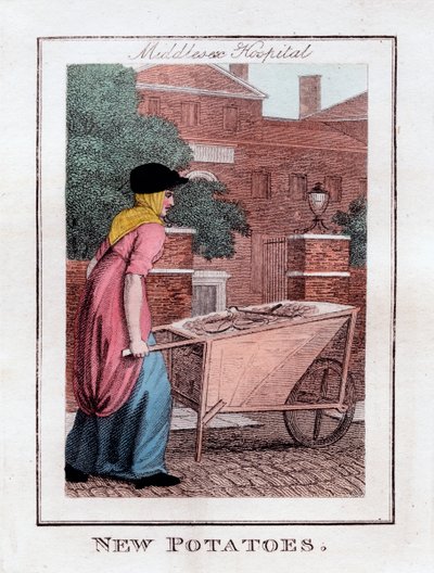 Patate novelle, Middlesex Hospital, Londra, 1805 da Unbekannt