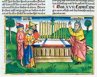 Numeri 17:1-11: Il bastone di Aronne fiorisce sull