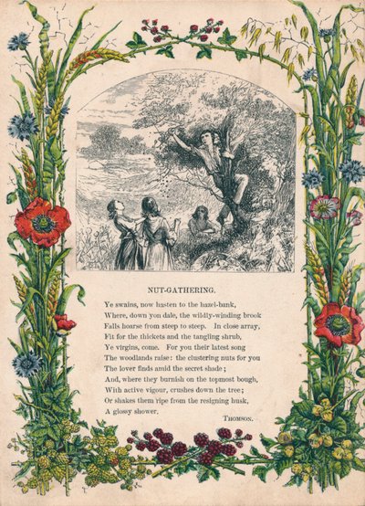 Raccolta di noci, di Thomson, c1900 da Unbekannt