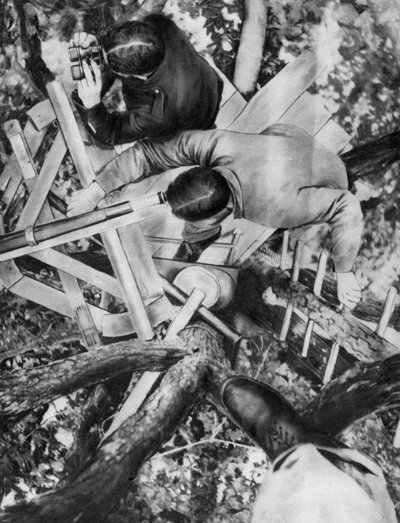 Posto di osservazione su un albero, Woevre, Francia, Prima Guerra Mondiale, c1914 da Unbekannt