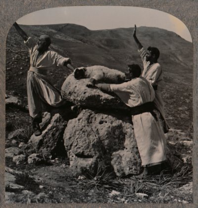 Offerta di sacrificio di agnello sull