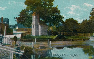Vecchia gabbia e stagno, Lingfield, Surrey da Unbekannt
