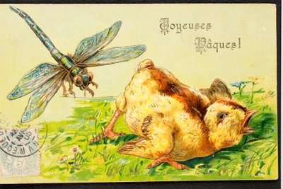 Vecchia cartolina/Buona Pasqua/Pulcino/Libellula da Unbekannt