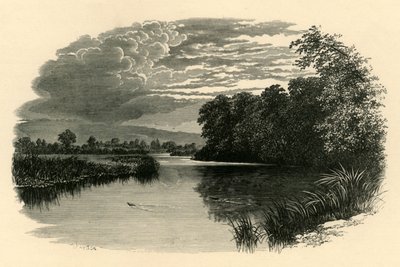 Sul fiume Avon, Strensham Reach da Unbekannt