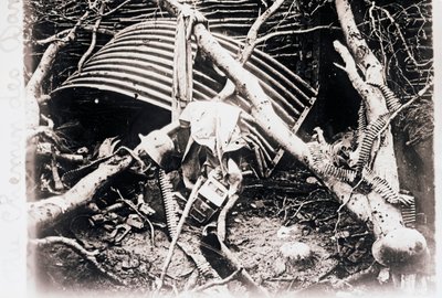 Sul Chemin des Dames, Francia settentrionale, c1914-c1918 da Unbekannt