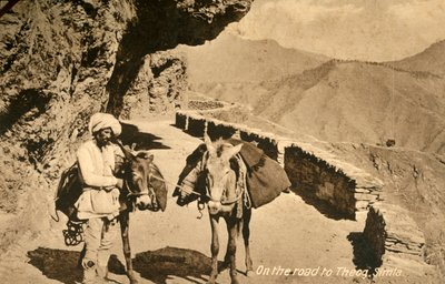 Sulla strada per Theog, Simla, c1918-c1939 da Unbekannt
