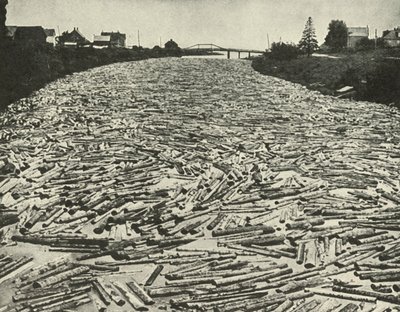 Sulla strada per le segherie, c1948 da Unbekannt