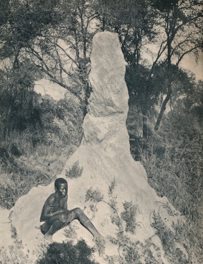 Uno dei grandi formicai peculiari di alcune zone del Sudafrica, c1900 da Unbekannt