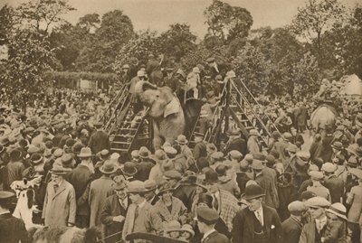 Uno dei segni della nostra civiltà: giardini zoologici ben forniti per deliziare i curiosi, c193 da Unbekannt