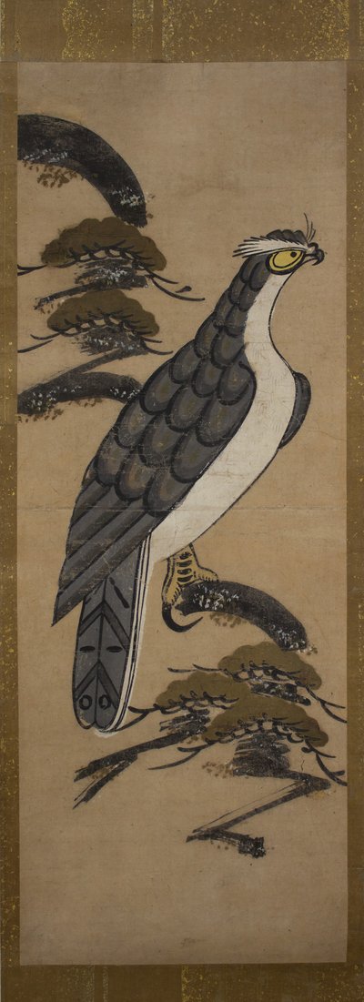 Otsu-e di falco su un pino, XVIII secolo da Unbekannt