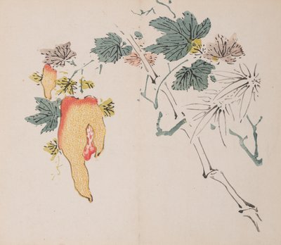 Pagina da Shi Zhu Zhai da Unbekannt