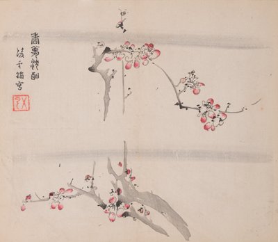 Pagina da Shi Zhu Zhai da Unbekannt
