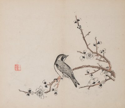 Pagina da Shi Zhu Zhai da Unbekannt