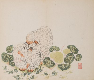 Pagina da Shi Zhu Zhai da Unbekannt