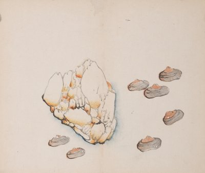 Pagina da Shi Zhu Zhai da Unbekannt
