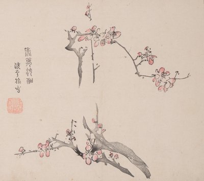 Pagina da Shi Zhu Zhai da Unbekannt