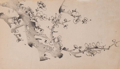 Pagina da Shi Zhu Zhai da Unbekannt