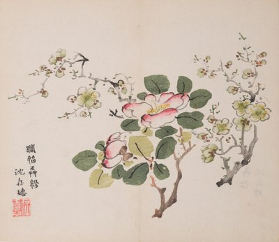 Pagina da Shi Zhu Zhai da Unbekannt