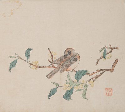Pagina da Shi Zhu Zhai da Unbekannt