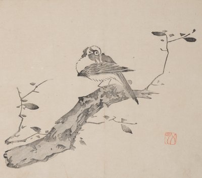 Pagina da Shi Zhu Zhai da Unbekannt