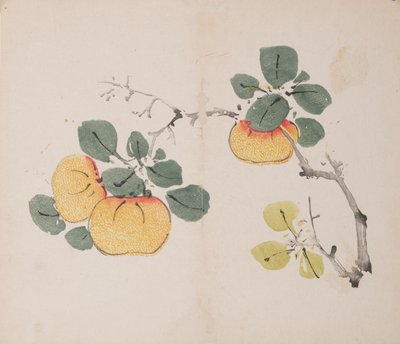 Pagina da Shi Zhu Zhai da Unbekannt
